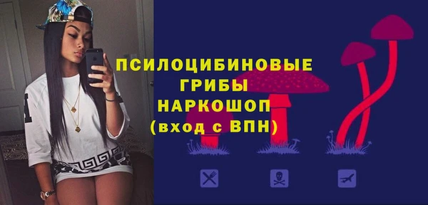 гашик Белокуриха
