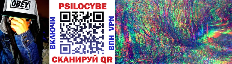 МЕГА вход  закладки  Курчатов  Псилоцибиновые грибы прущие грибы 