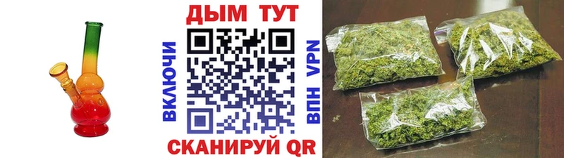 где купить наркотик  Курчатов  KRAKEN зеркало  Каннабис White Widow 